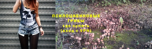 кокс Баксан