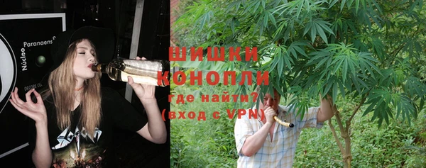 прущие грибы Ельня